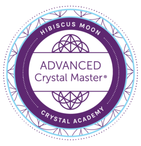 OFFICIAL hibiscus-moon-crystal-academy-acm-badge